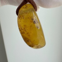 Oval Honey Baltic Amber Pendant with Natural Inclusions