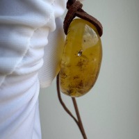 Oval Honey Baltic Amber Pendant with Natural Inclusions