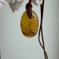Oval Honey Baltic Amber Pendant with Natural Inclusions