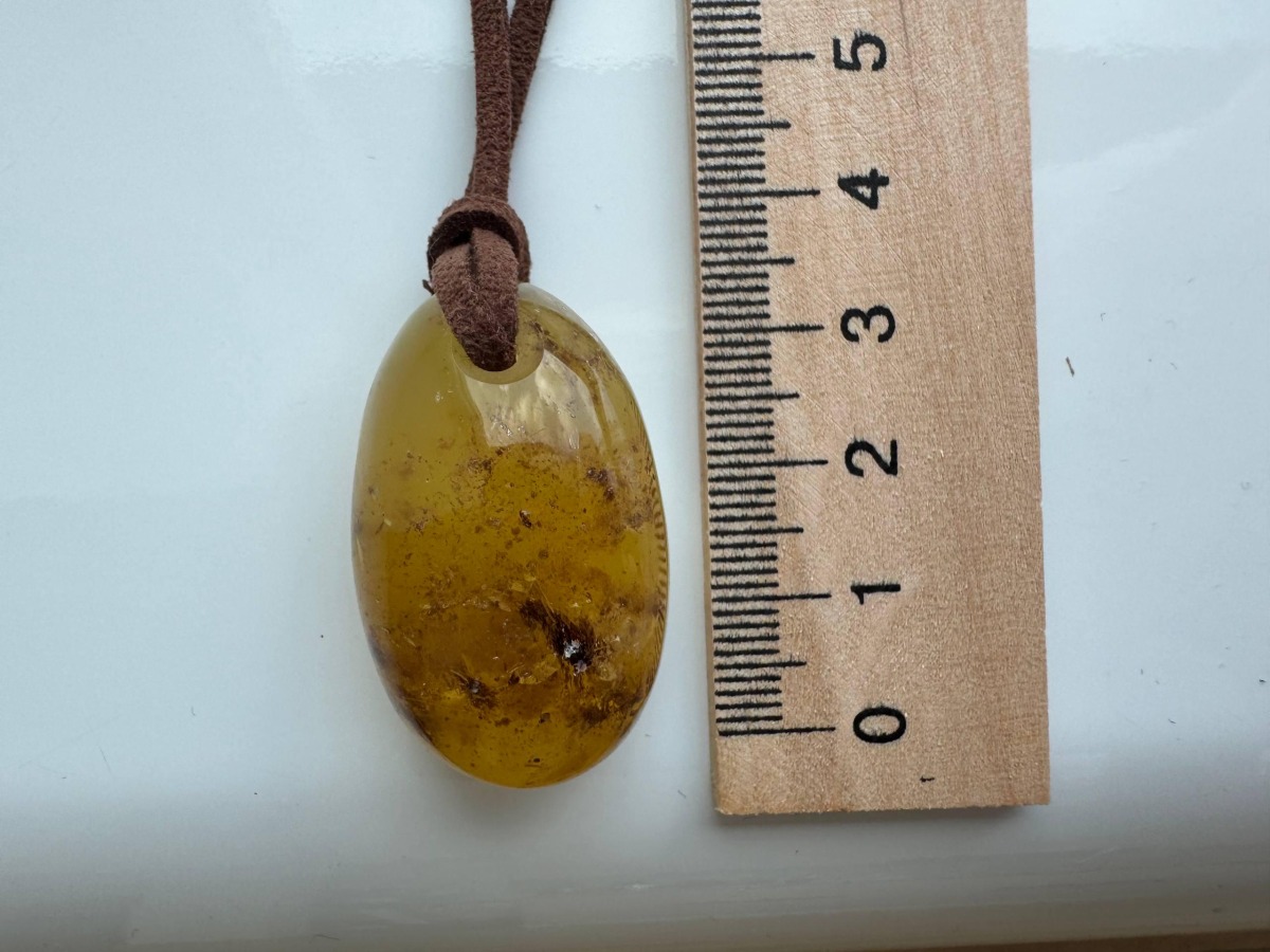 Oval Honey Baltic Amber Pendant with Natural Inclusions