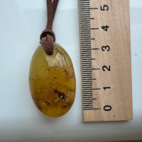 Oval Honey Baltic Amber Pendant with Natural Inclusions