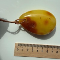 Large Egg Yolk Baltic Amber Pendant on Leather Cord, 41g
